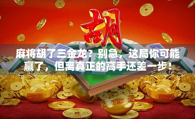 麻将胡了三金龙?别急,这局你可能赢了,但离真正的高手还差一步! 麻将胡了三金龙?别急,这局你可能赢了,但离真正的高手还差一步!